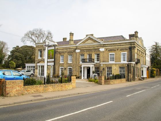 The Chalk Hare, Royston