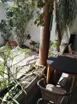 Casa Elizabeth - breakfast