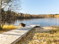 Joutsen - Pet friendly