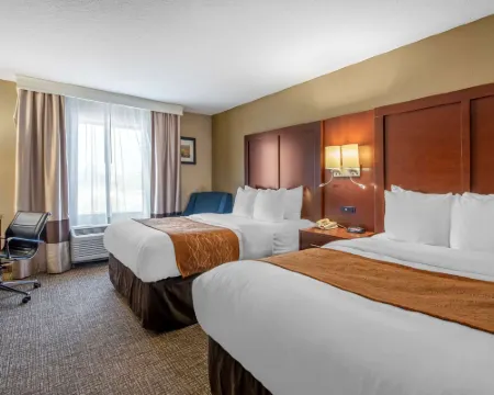 Comfort Inn & Suites Hotels in Muncie