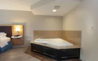 Hampton Inn Doylestown - Badekar