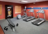 Hampton Inn & Suites Clovis-Airport North - Gym