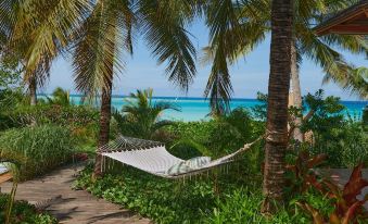 Zuri Zanzibar