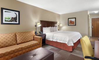 Hampton Inn Dallas/Irving-Las Colinas