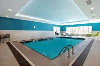 Hampton Inn & Suites by Hilton Ottawa West - Uima-altaat