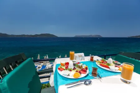 Sardunya Andifli Otel