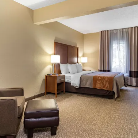 Comfort Inn & Suites Suwanee - Sugarloaf