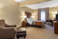 Comfort Inn & Suites Suwanee - Sugarloaf Hotels in Suwanee