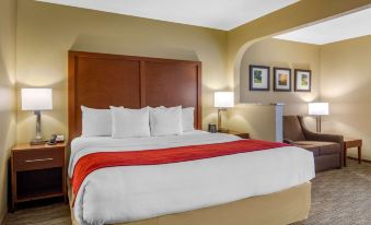 Comfort Inn & Suites LaGrange