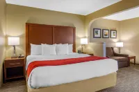 Comfort Inn & Suites Hotels in Troup County