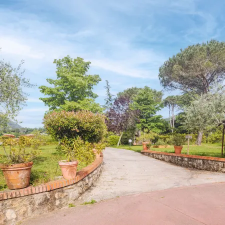 Verde Versilia