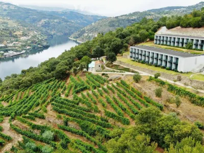 Douro Palace Hotel Resort & Spa Hotels in Gestaçô