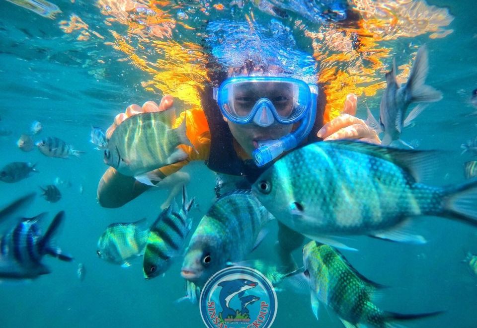 신사무트 코사멧