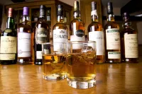 The Winnock Hotel - 바