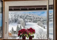 Chalet Bluebell - Mountain view