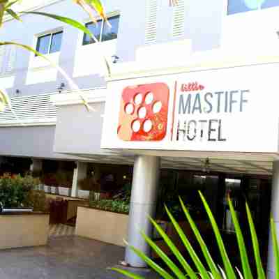 Little Mastiff Chinchwad by Othpl Hotel Exterior