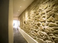 جيست هاوس أو أفيتاكامير ماجينتا بانثيون نافونا