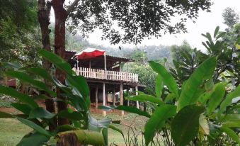 Forest Guest House