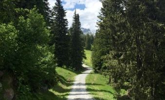Club Alpenresidenz Gastein