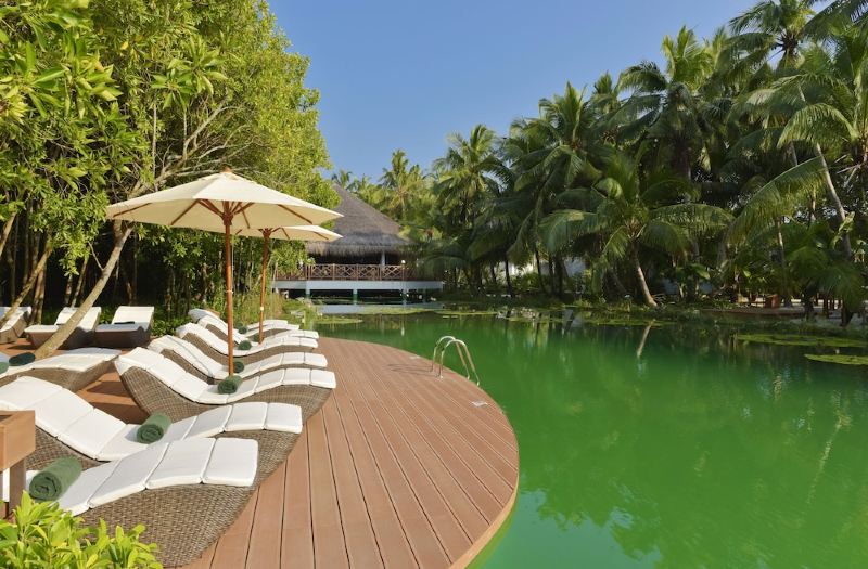 Boos Ontwikkelen ruw Dreamland Maldives Resort, Maldives Latest Price & Reviews of Global Hotels  2023 | Trip.com