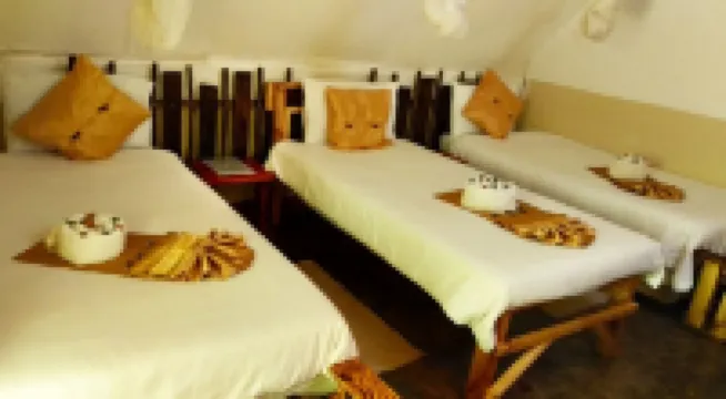 Elephant Trail Guesthouse and Backpackers