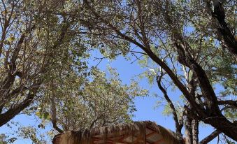 Sami Atacama Lodge