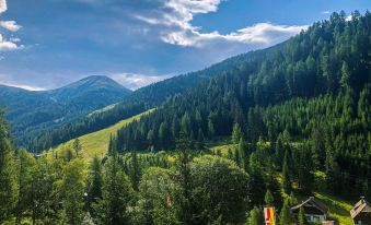 Kinder- Und Familienhotel Nockalm