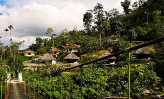 Amuntai Rainforest Lodge