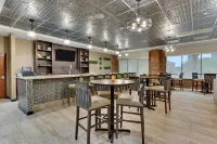 Drury Plaza Hotel St. Paul Downtown - bar