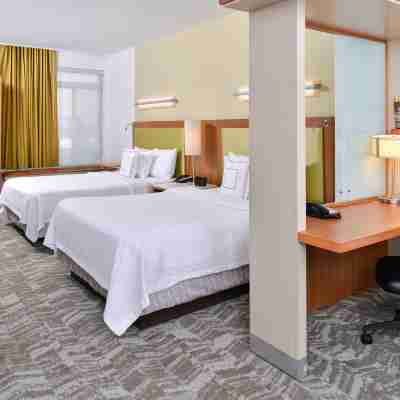 羅穆勒斯底特律都會機場萬豪SpringHill酒店 Rooms