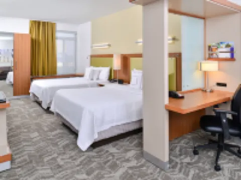 羅穆勒斯底特律都會機場萬豪SpringHill飯店 羅穆勒斯住宿飯店