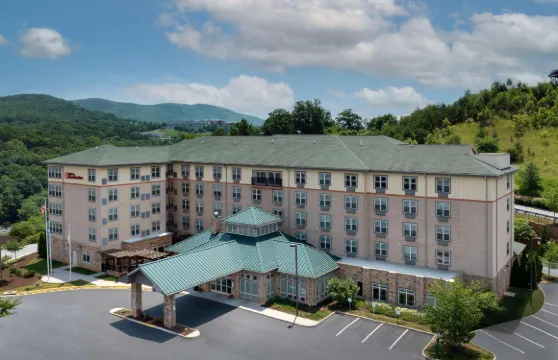 羅阿諾克希爾頓花園酒店