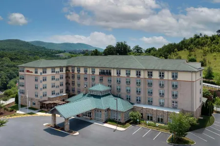 HIlton Garden Inn Roanoke Отели в г. Кейв Спринг