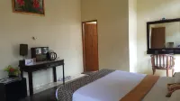 Putri Duyung Guest House Hotels in Karangpandan