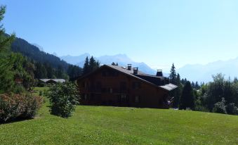Aiguilles Dorées I/2