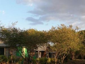 Mara Forest camp