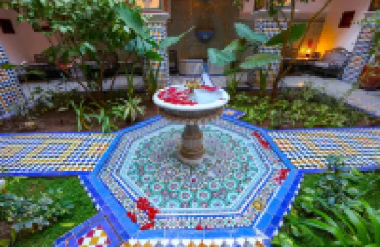 Riad Toyour- Riad of Birds