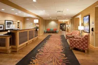 Hampton Inn & Suites Denver/South-RidgeGate فنادق في Meridian