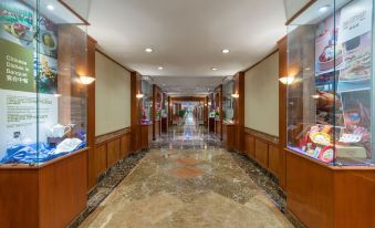 Ibis Muscat