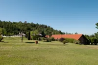 Green House