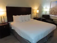 Best Western Childress West Hotel Hotels in Childress County