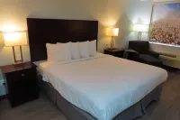 Best Western Childress West Hotel - parking