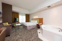 SpringHill Suites Detroit Auburn Hills Hoteles en Municipio de Orion