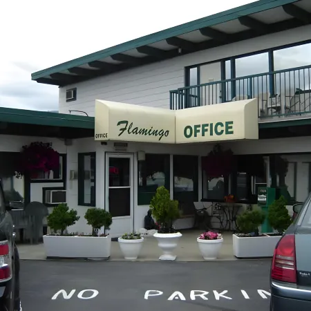 Flamingo Motel