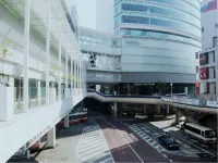 Kashiwa Plaza Hotel