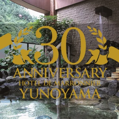 Hotel de Marronnier Yunoyama-Onsen
