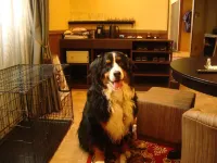 Mogamitakayu Zenshichinoyu Ohira