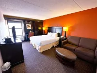 Spark by Hilton Stevensville