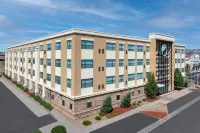Element Denver Park Meadows - Pet friendly