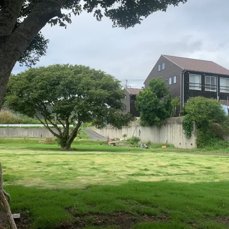 South Bird Inn
